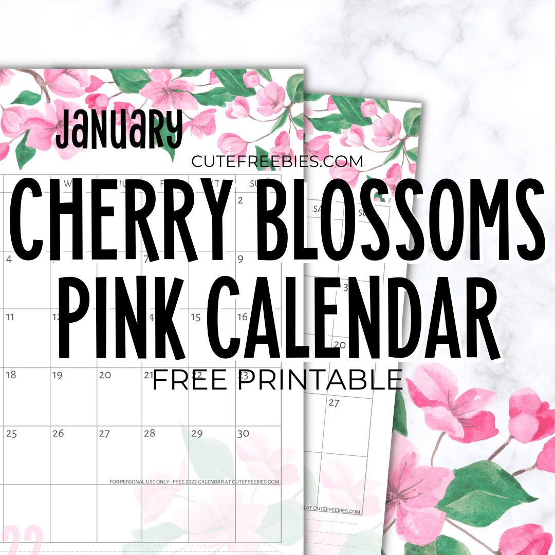 Cherry Blossom Calendar 2024 Nadya Adelheid